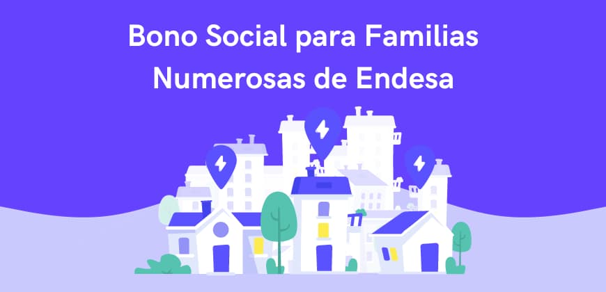 Bono Social para Familias Numerosas de Endesa: requisitos