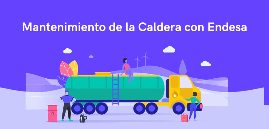 mantenimiento caldera endesa